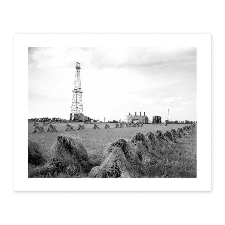 Vivid Archives Leduc Harvest 1947