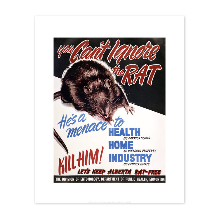 Vivid Archives You Can't Ignore the Rat