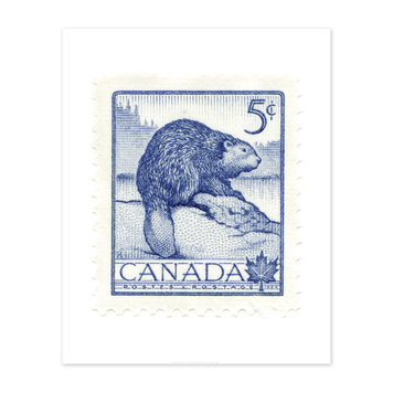 Vivid Print Canada Beaver Stamp