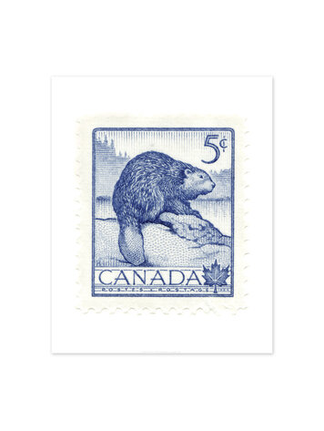 Vivid Print Canada Beaver Stamp