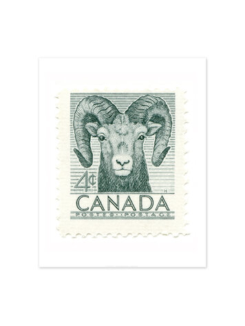 Vivid Print Canada Bighorn Sheep Stamp