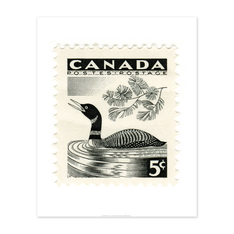 Vivid Print Canada Loon Stamp