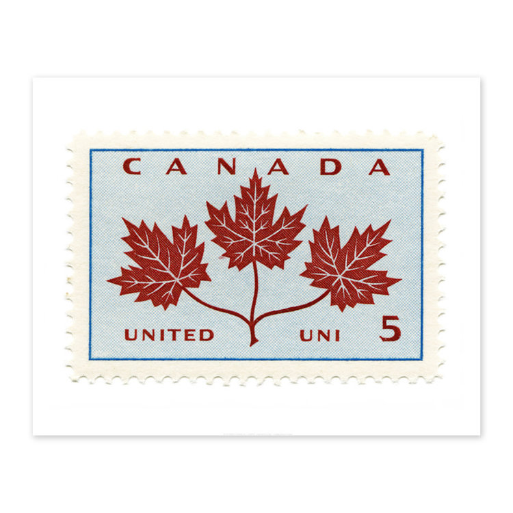 Vivid Print Canada Maple Leaves Stamp
