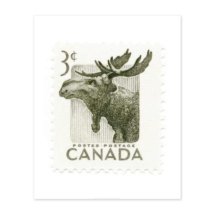 Vivid Print Canada Moose Stamp