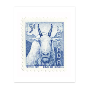 Vivid Print Canada Mountain Goat Stamp