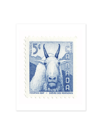 Vivid Print Canada Mountain Goat Stamp