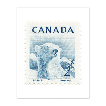 Vivid Print Canada Polar Bear Stamp
