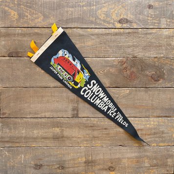 Vivid Vintage Vintage Columbia Ice Field Pennant Black