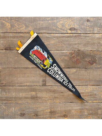 Vivid Vintage Vintage Columbia Ice Field Pennant Black
