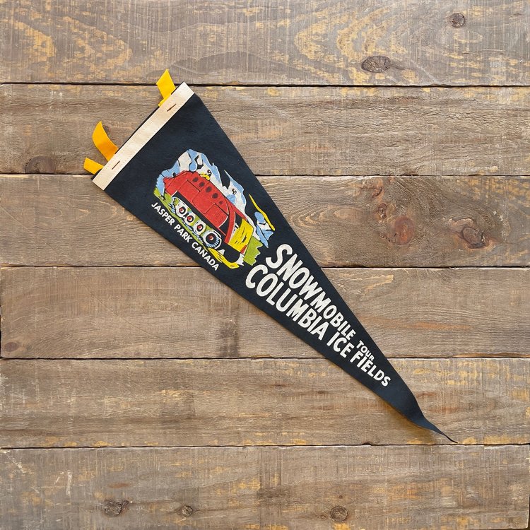 Vivid Vintage Vintage Columbia Ice Field Pennant Black