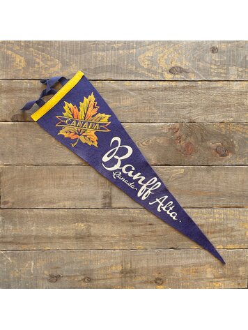 Vivid Vintage Vintage Banff Pennant Blue