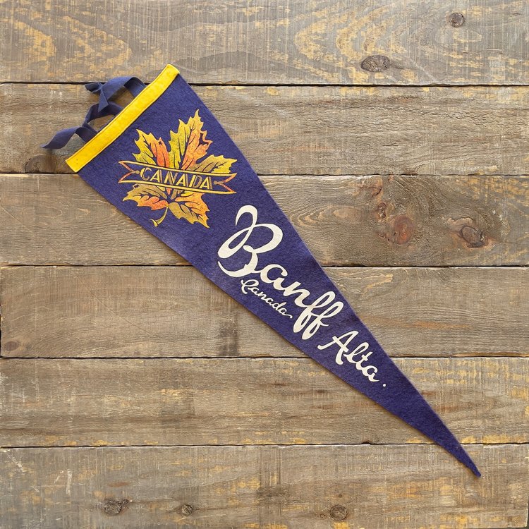 Vivid Vintage Vintage Banff Pennant Blue