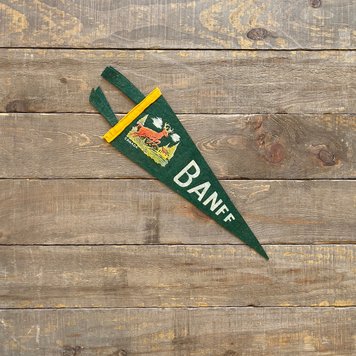 Vivid Vintage Vintage Banff Pennant Green