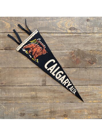 Vivid Vintage Vintage Calgary Pennant Black
