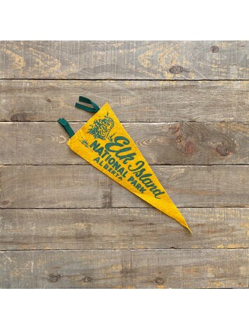 Vivid Vintage Vintage Elk Island Pennant Yellow
