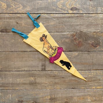 Vivid Vintage Vintage Miette Hot Springs Pennant White