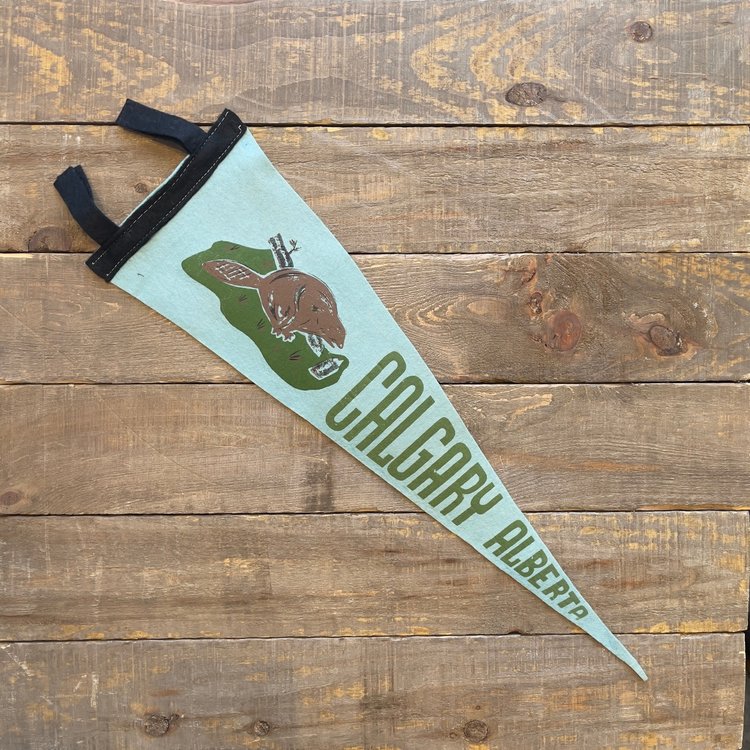 Vivid Vintage Vintage Calgary Pennant Teal