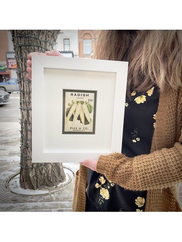 Vivid Vintage Framed Pike Seed Radish