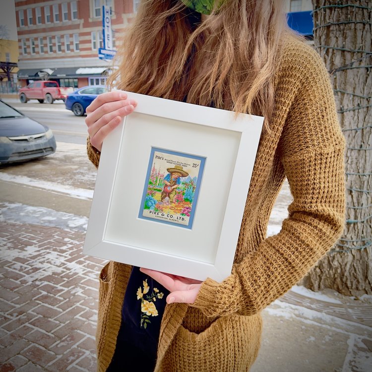 Vivid Vintage Framed Pike Mixed Flower Seed