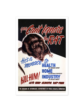 Vivid Archives You Can't Ignore the Rat