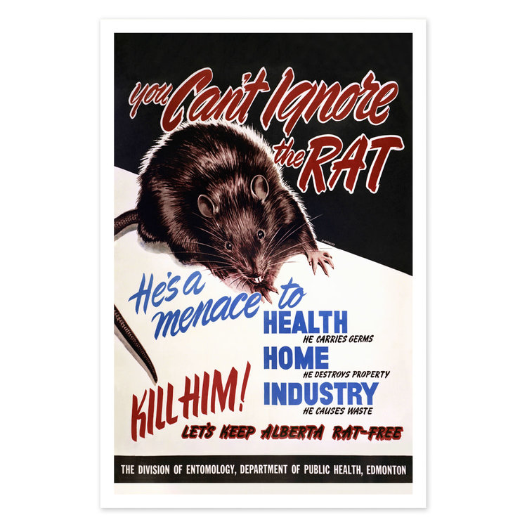 Vivid Archives You Can't Ignore the Rat
