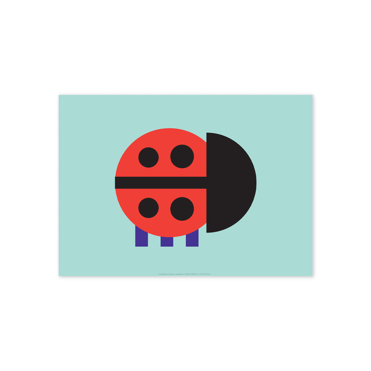 Bee Waeland Ladybird