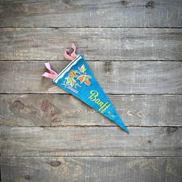 Vivid Vintage Vintage Banff Pennant Blue