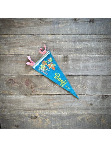 Vivid Vintage Vintage Banff Pennant Blue