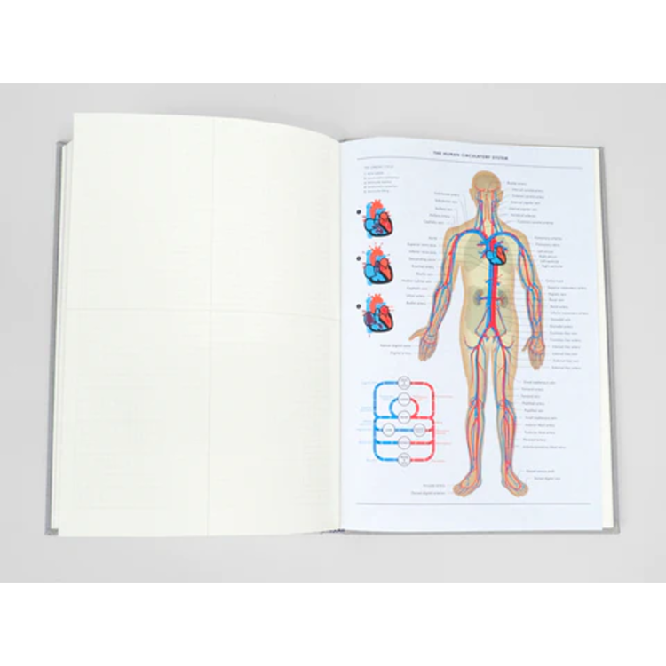 Princeton Architectural Press Grids & Guides (Gray)