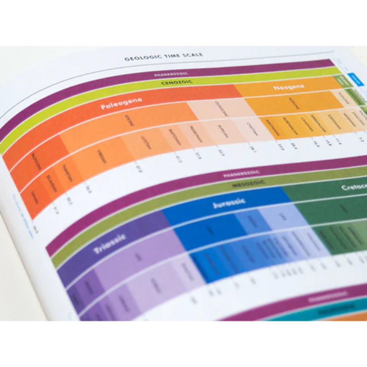 Princeton Architectural Press Grids & Guides (Gray)