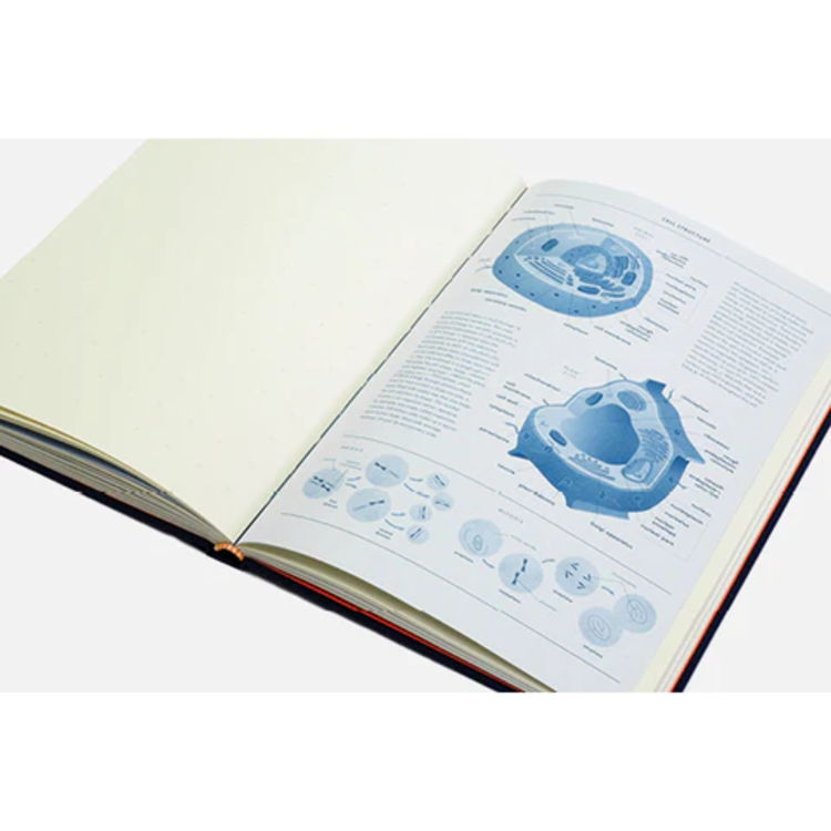 Princeton Architectural Press Grids & Guides Navy