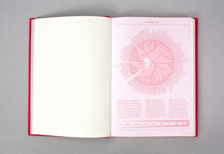 Princeton Architectural Press Grids & Guides (Red)