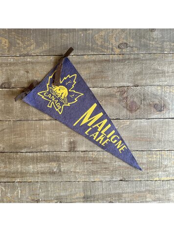 Vivid Vintage Vintage Maligne Lake Pennant Blue