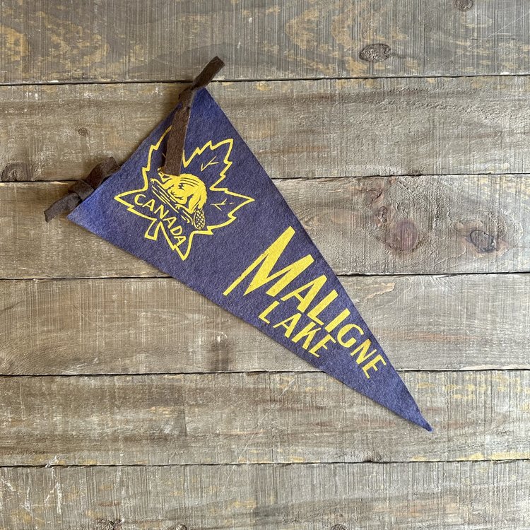 Vivid Vintage Vintage Maligne Lake Pennant Blue