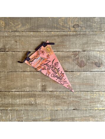 Vivid Vintage Vintage Johnson Canyon Pennant Pink