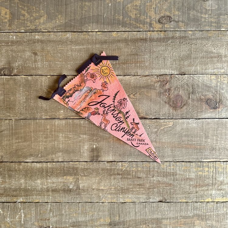 Vivid Vintage Vintage Johnson Canyon Pennant Pink