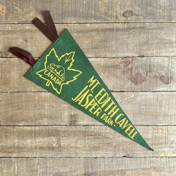 Vivid Vintage Vintage Mt. Edith Cavell Pennant Green