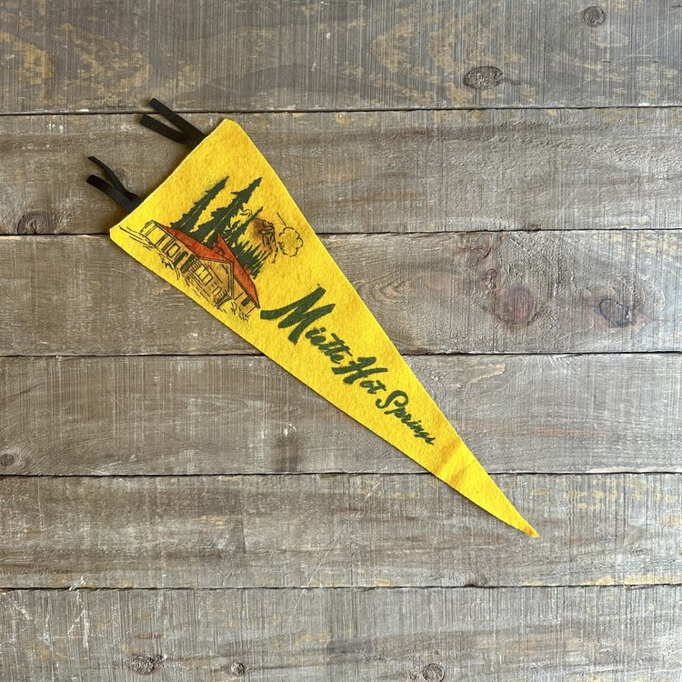 Vivid Vintage Vintage Miette Hot Springs Pennant Yellow