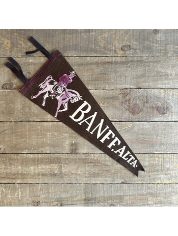 Vivid Vintage Vintage Banff Pennant Purple