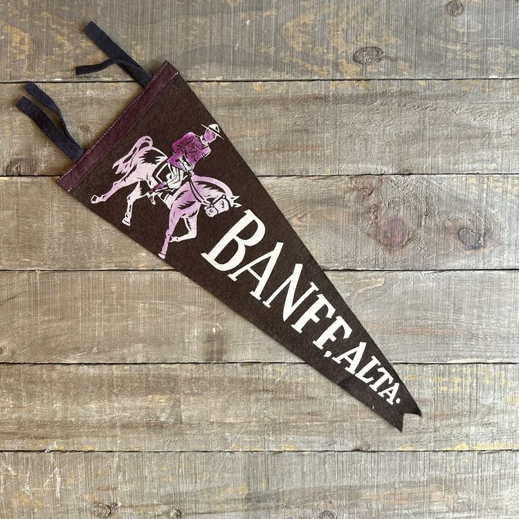 Vivid Vintage Vintage Banff Pennant Purple
