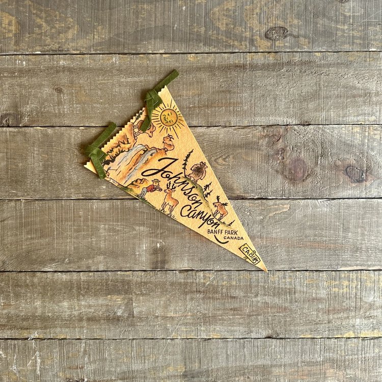 Vivid Vintage Vintage Johnson Canyon Pennant Yellow