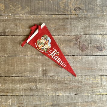 Vivid Vintage Vintage Hawaii Pennant Red