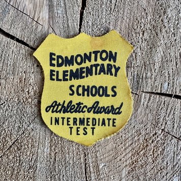 Vivid Vintage Vintage Elementary Schools Patch