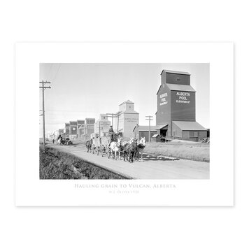 Vivid Archives Hauling grain to Vulcan 1928 24x32