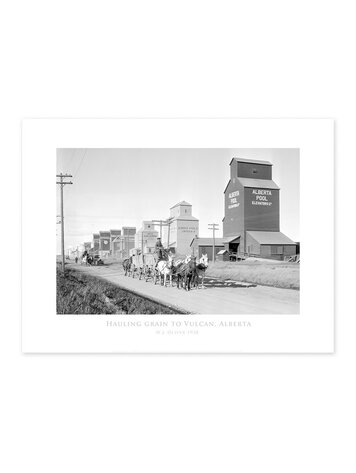 Vivid Archives Hauling grain to Vulcan 1928 24x32