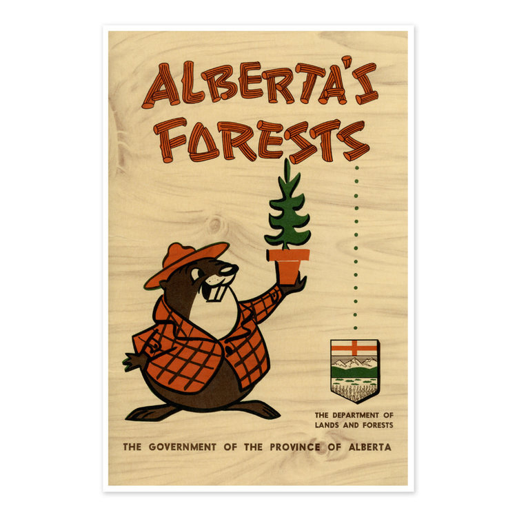 Vivid Archives Alberta's Forests Bertie Beaver