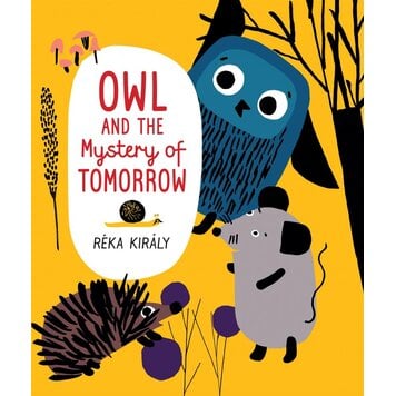 Orca Book Publishers Owl and the Mystery of Tomorrow