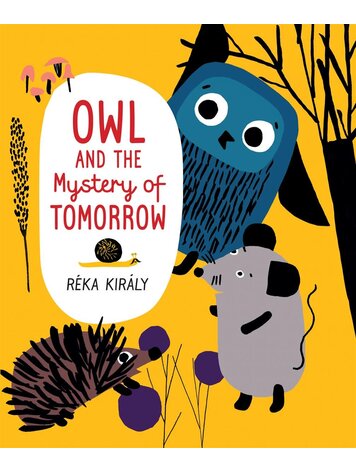 Orca Book Publishers Owl and the Mystery of Tomorrow