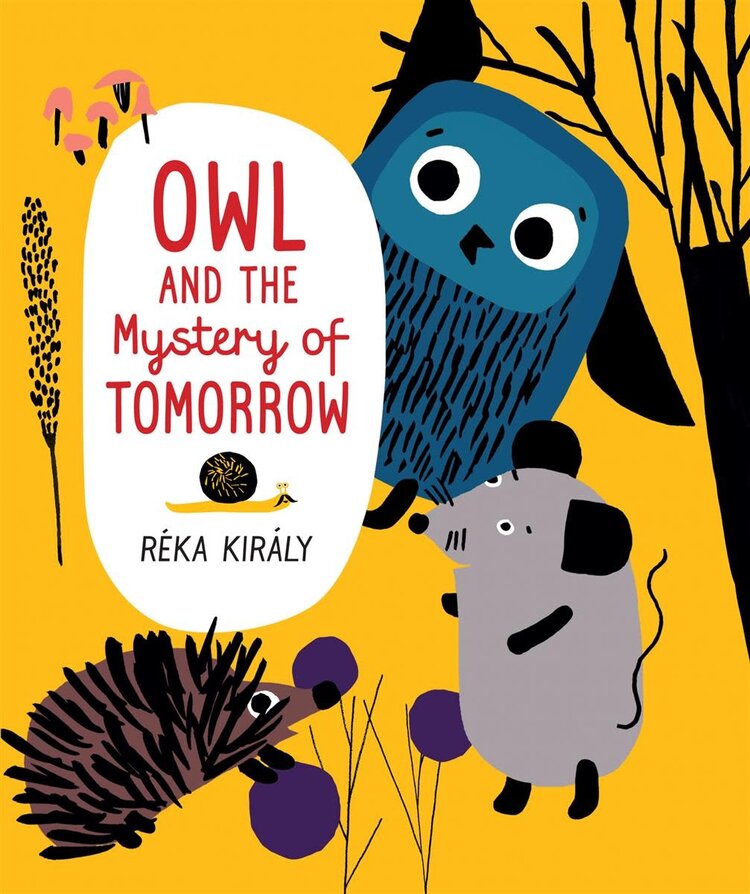 Orca Book Publishers Owl and the Mystery of Tomorrow