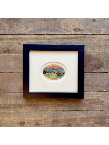 Vivid Vintage Jasper Park Lodge Framed Vintage Luggage Label
